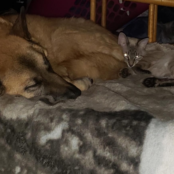 Meet your Posher, Amy - Picture 9 of 10